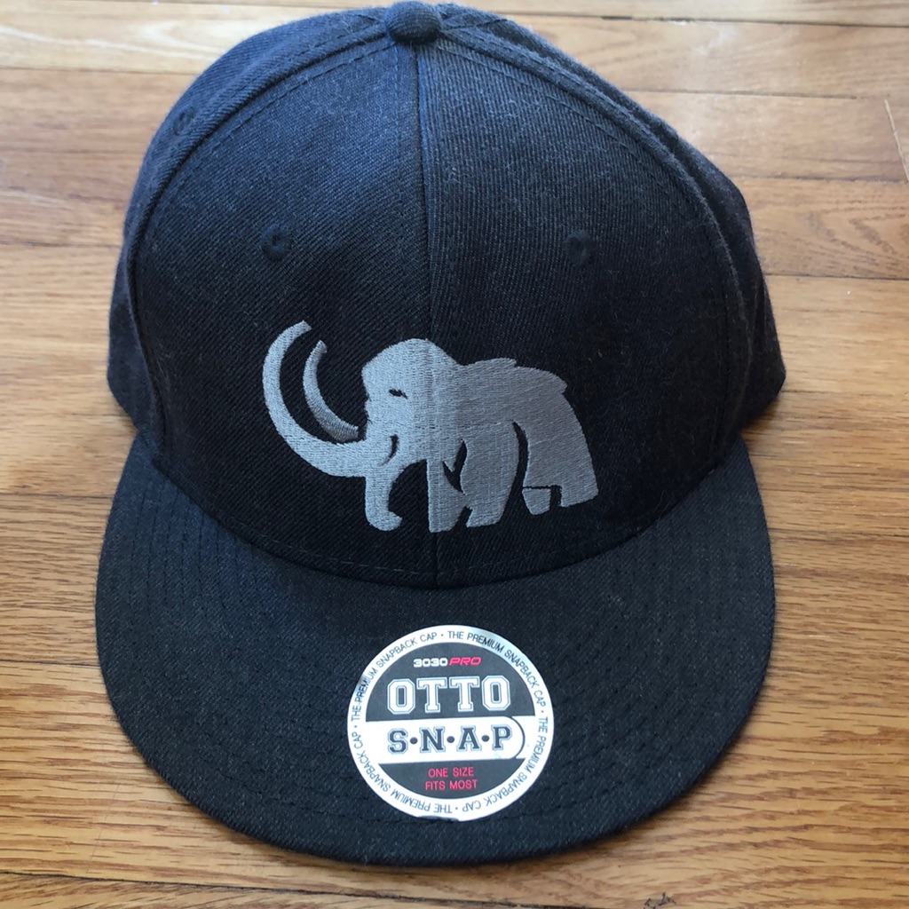 Otto Snapback